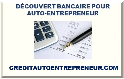 DÉCOUVERT BANCAIRE POUR AUTO-ENTREPRENEUR